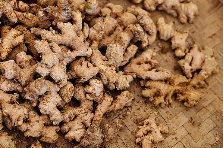 Jahe Emprit, Indonesian Fresh Ginger